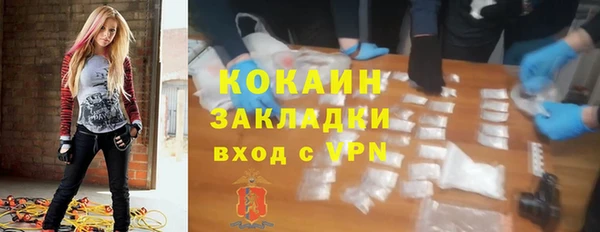 шишки Белокуриха