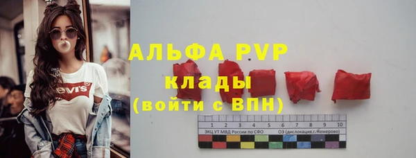 шишки Белокуриха