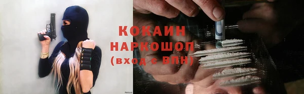 шишки Белокуриха