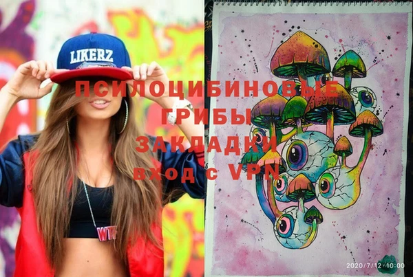 шишки Белокуриха