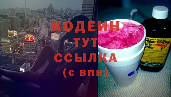 шишки Белокуриха