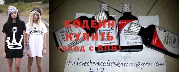 шишки Белокуриха
