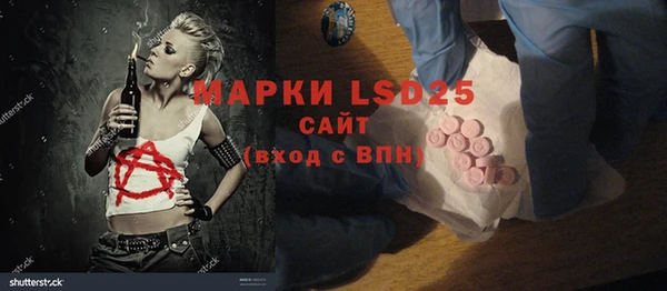 шишки Белокуриха